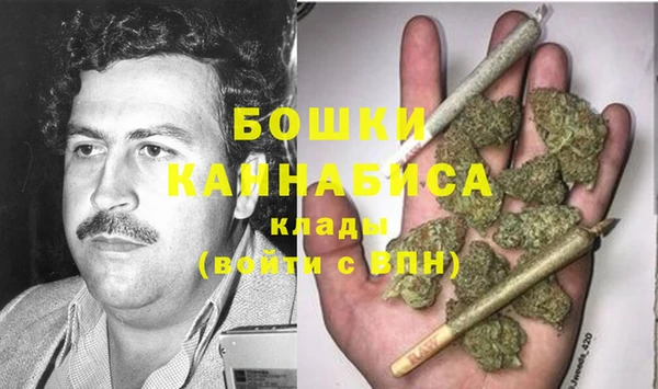 эйфоретик Бородино