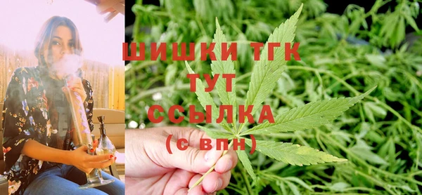 эйфоретик Бородино