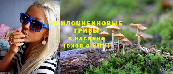 эйфоретик Бородино