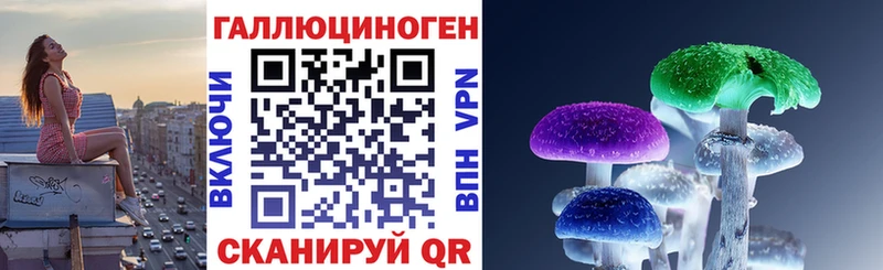 купить наркотики сайты  Дагестанские Огни  Псилоцибиновые грибы прущие грибы 